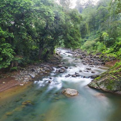 Voyage au Costa Rica : Le Costa Rica à l'état pur ... Authentique Costa Rica