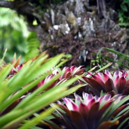 Voyage au Costa Rica : Le Costa Rica à l'état pur ... Authentique Costa Rica