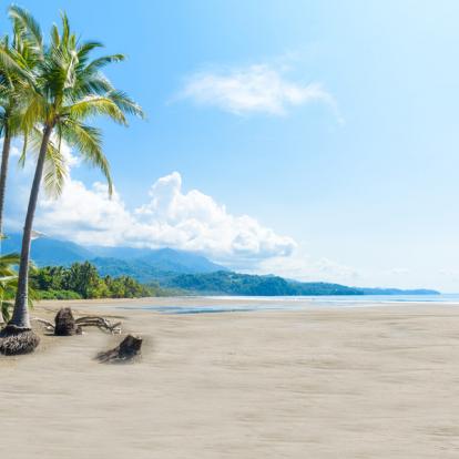 Circuit au Costa Rica : Le Costa Rica à l'état pur ... Authentique Costa Rica