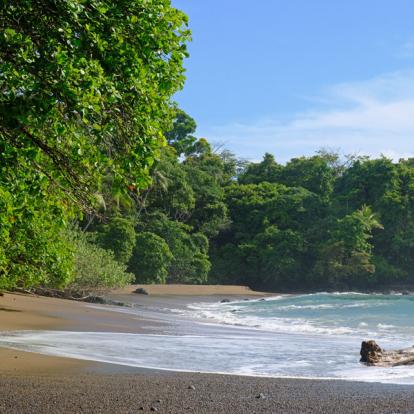 Voyage Costa Rica : Des Caraïbes au Pacifique