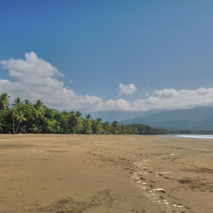 Voyage Costa Rica : Des Caraïbes au Pacifique