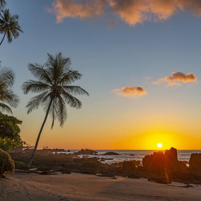 Circuit Costa Rica : Des Caraïbes au Pacifique