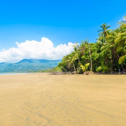 Circuit Costa Rica : Des Caraïbes au Pacifique