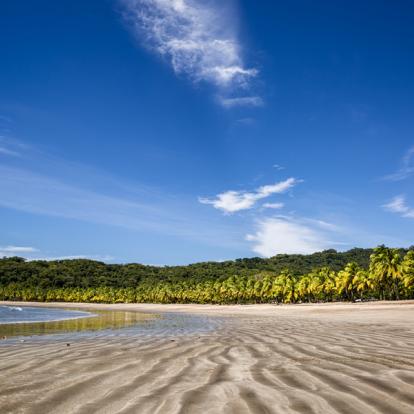 Circuit au Costa Rica : Découverte Nature au pays du Quetzal