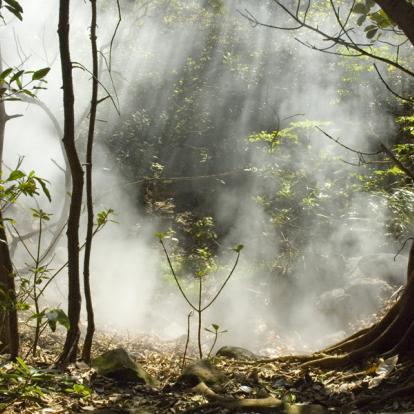 Voyage au Costa Rica : Découverte Nature au pays du Quetzal