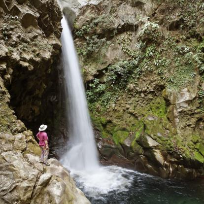 Circuit au Costa Rica : Découverte Nature au pays du Quetzal