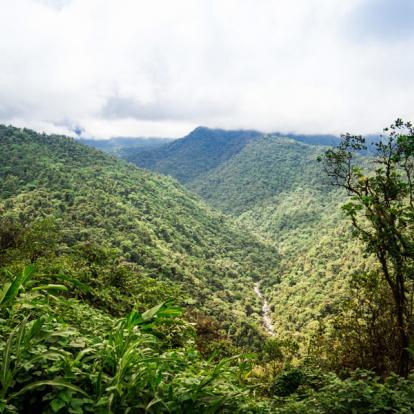 Circuit au Costa Rica : Faune et Flore