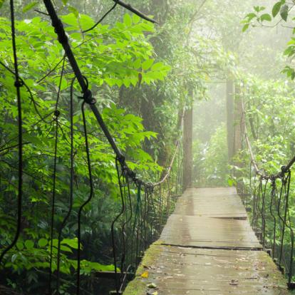 Voyage au Costa Rica : Faune et Flore