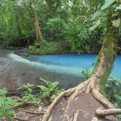 Circuit au Costa Rica : Faune et Flore