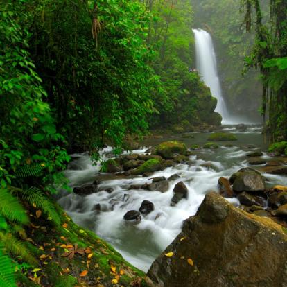 Séjour au Costa Rica : Lune de Miel au Pays des Quetzals