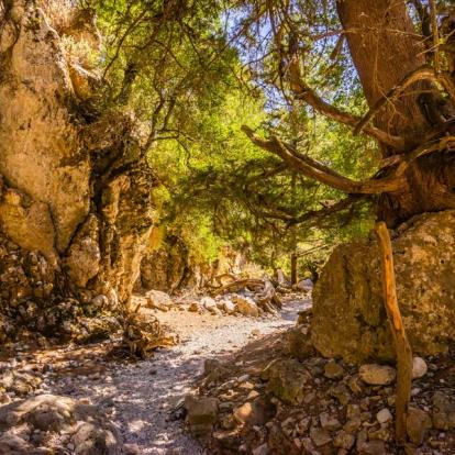 Circuit en Crète : La Nature Vierge de Crète et les Plages du Sud
