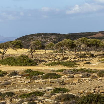 Circuit en Crète : Découverte du Parc Naturel de Sitia