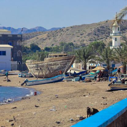 Circuit à Djibouti: Entre Désert et Mer Rouge