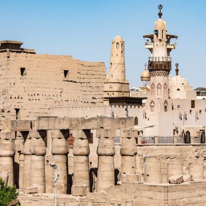 Circuit en Egypte : Le Caire, Haute-Egypte et Plongées en Mer Rouge