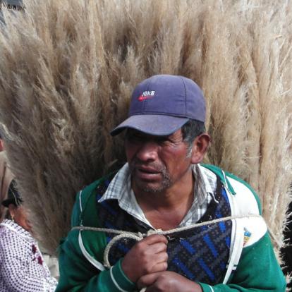 Voyage en Equateur : Autotour en Liberté