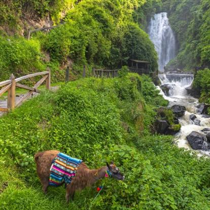 Voyage en Equateur : Autotour en Liberté