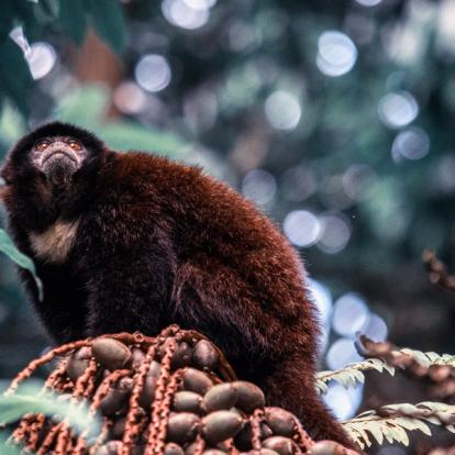 Circuit en Equateur : Toutes les Régions d'Equateur