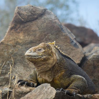 Voyage en Equateur : Toutes les Régions d'Equateur