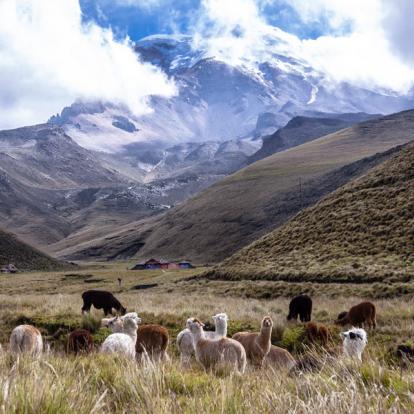 Voyage en Equateur : Trekking et Communautés Indigènes