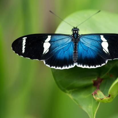 Circuit en Equateur : Vacances En Famille En Equateur