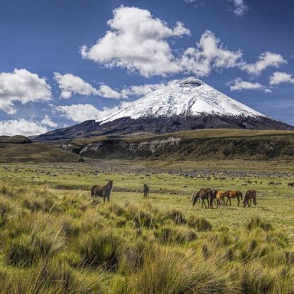 Voyage en Equateur : Vacances En Famille En Equateur
