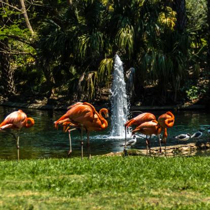 Circuit aux Etats-Unis : La Floride en Famille