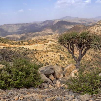 Voyage en Ethiopie : Timket Festival à Gondar et Route Historique