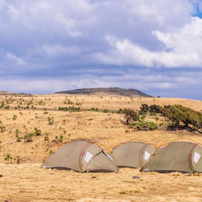 Voyage en Ethiopie : Trek dans les Montagnes du Simien Et du Bale