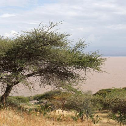 Voyage en Ethiopie : Trek dans les Montagnes du Simien Et du Bale