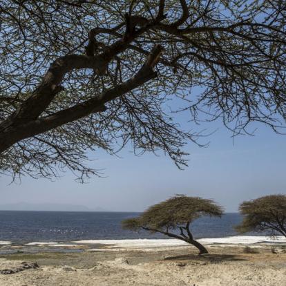 Circuit en Ethiopie : Trek dans les Montagnes du Simien Et du Bale