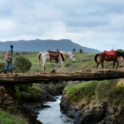 Voyage en Ethiopie : Trek dans les Montagnes du Simien Et du Bale