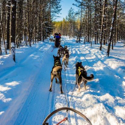Séjour en Finlande : Emerveillement chez le Père Noël