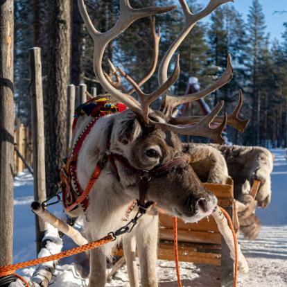 Voyage en Finlande : Emerveillement chez le Père Noël