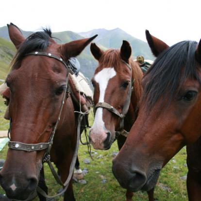 Voyage en Géorgie : Tusheti Ride