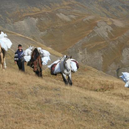 Voyage en Géorgie : Wild Tusheti
