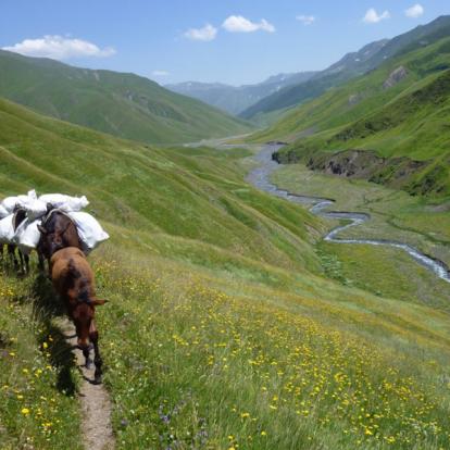 Circuit en Géorgie : Wild Tusheti