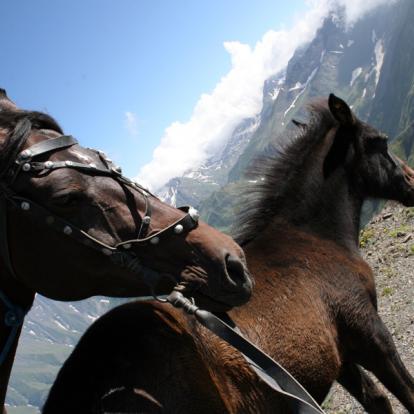 Circuit en Géorgie : Wild Tusheti