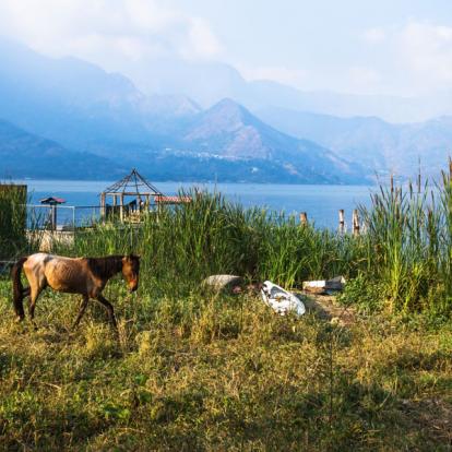 Circuit au Guatemala : Aventure Maya à cheval
