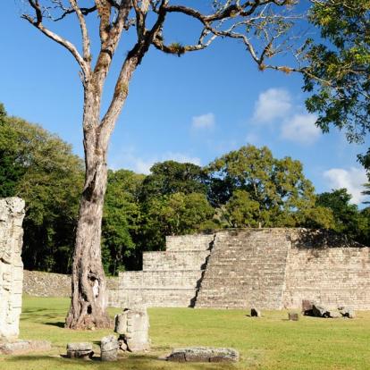 Circuit au Guatemala : Guatemala, Honduras et Salvador