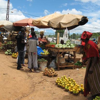 Voyage en Guinée - Les Rivières du Sud