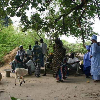 Voyage en Guinée - Les Rivières du Sud
