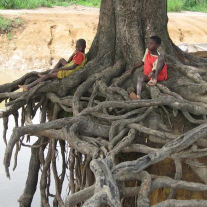 Voyage en Guinée - Les Rivières du Sud