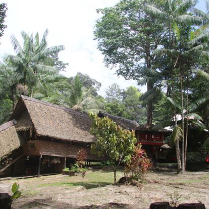 Circuit en Guyane : Les Incontournables en Guyane