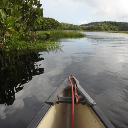 Circuit en Guyane : Les Incontournables en Guyane