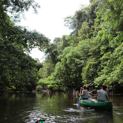 Voyage en Guyane : Les Incontournables en Guyane