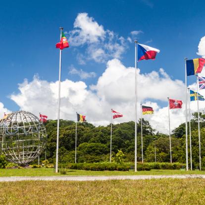 Circuit en Guyane : Les Incontournables en Guyane