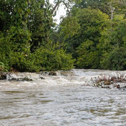 Circuit en Guyane : Séjour « Sport et Nature »