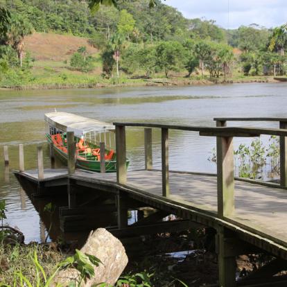 Voyage en Guyane : Séjour « T'Air de Nature »