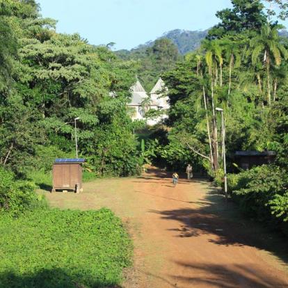 Circuit en Guyane : Séjour « T'Air de Nature »