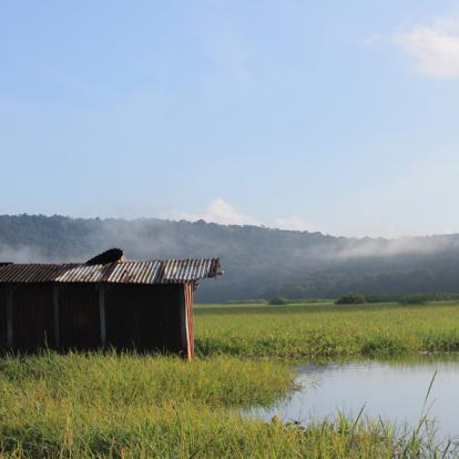Circuit en Guyane : Séjour « T'Air de Nature »